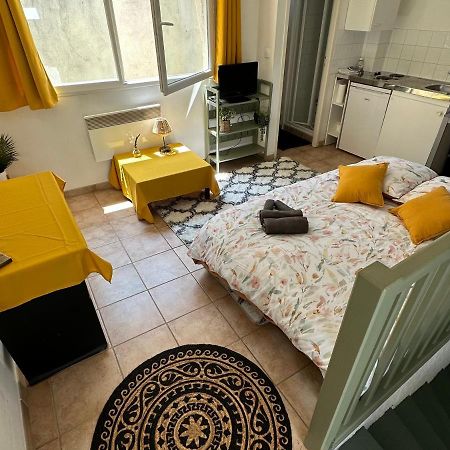 Appartamento Face Au Canal Du Midi Carcassonne Esterno foto